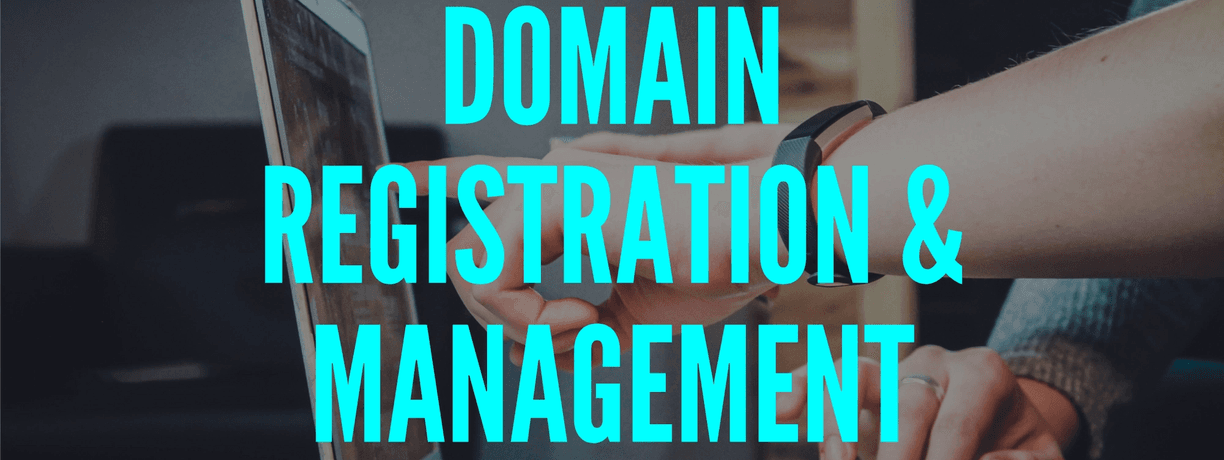 Domain registration & management service